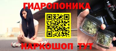 молекула духа Жуковский