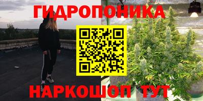 прущие крисы Заволжье