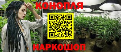 a pvp Заводоуковск