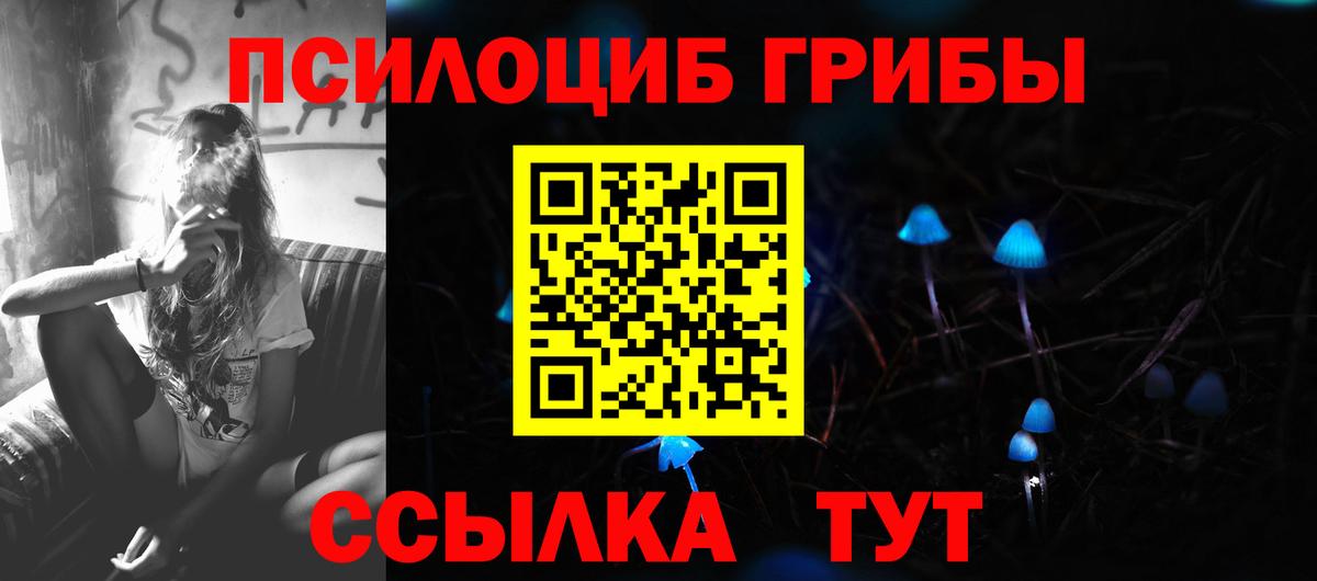 Галлюциногенные грибы MAGIC MUSHROOMS  Вход с VPN  где продают   Арсеньев  Галлюциногенные грибы мухоморы 
